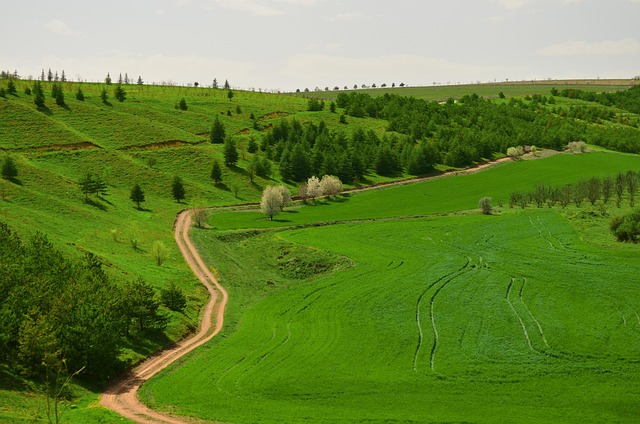 Nissan Qashqai Yedek Parça Direksiyon Airbag Zembereği